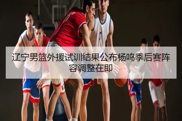 辽宁男篮外援试训结果公布杨鸣季后赛阵容调整在即